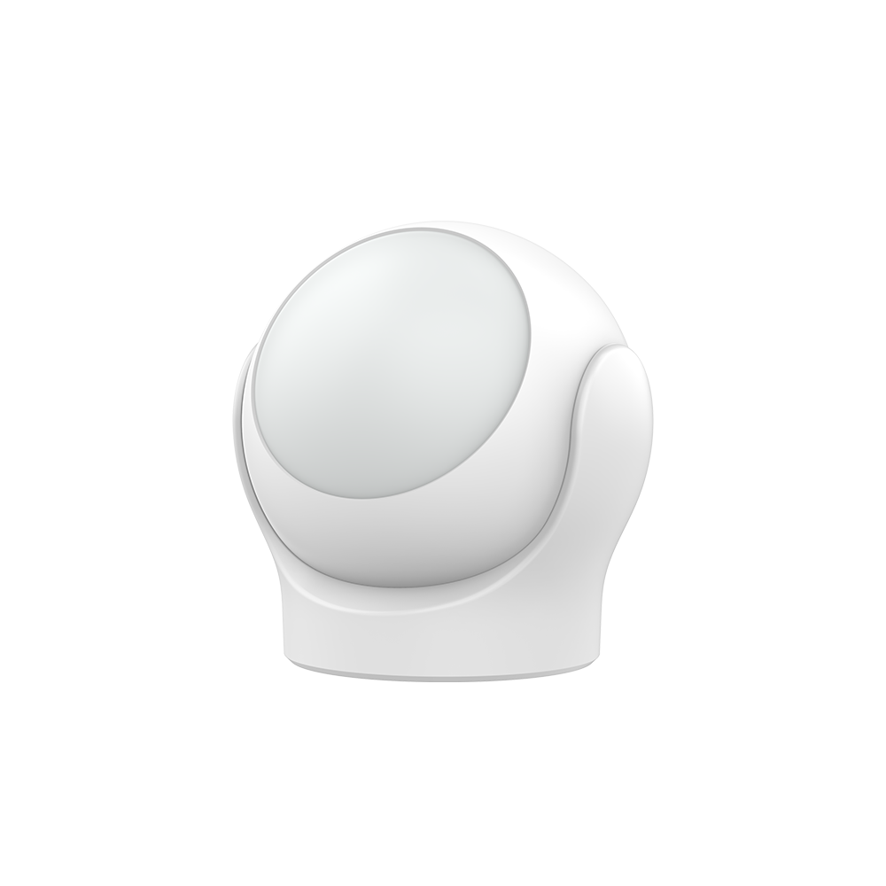 Motion Sensor